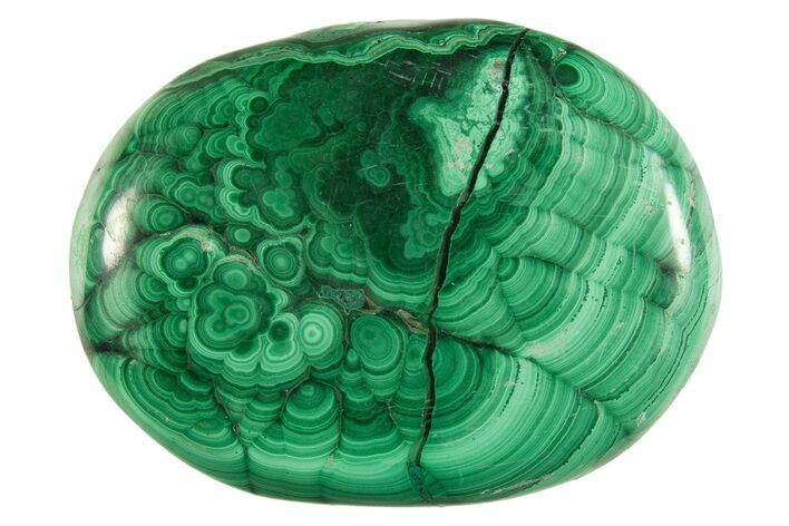 Polished Banded Malachite Palm Stone - DR Congo #321191